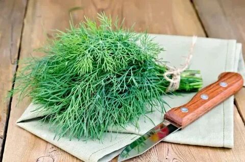 فروش سبزی شوید خشک صادراتی با تضمین کمترین قیمت